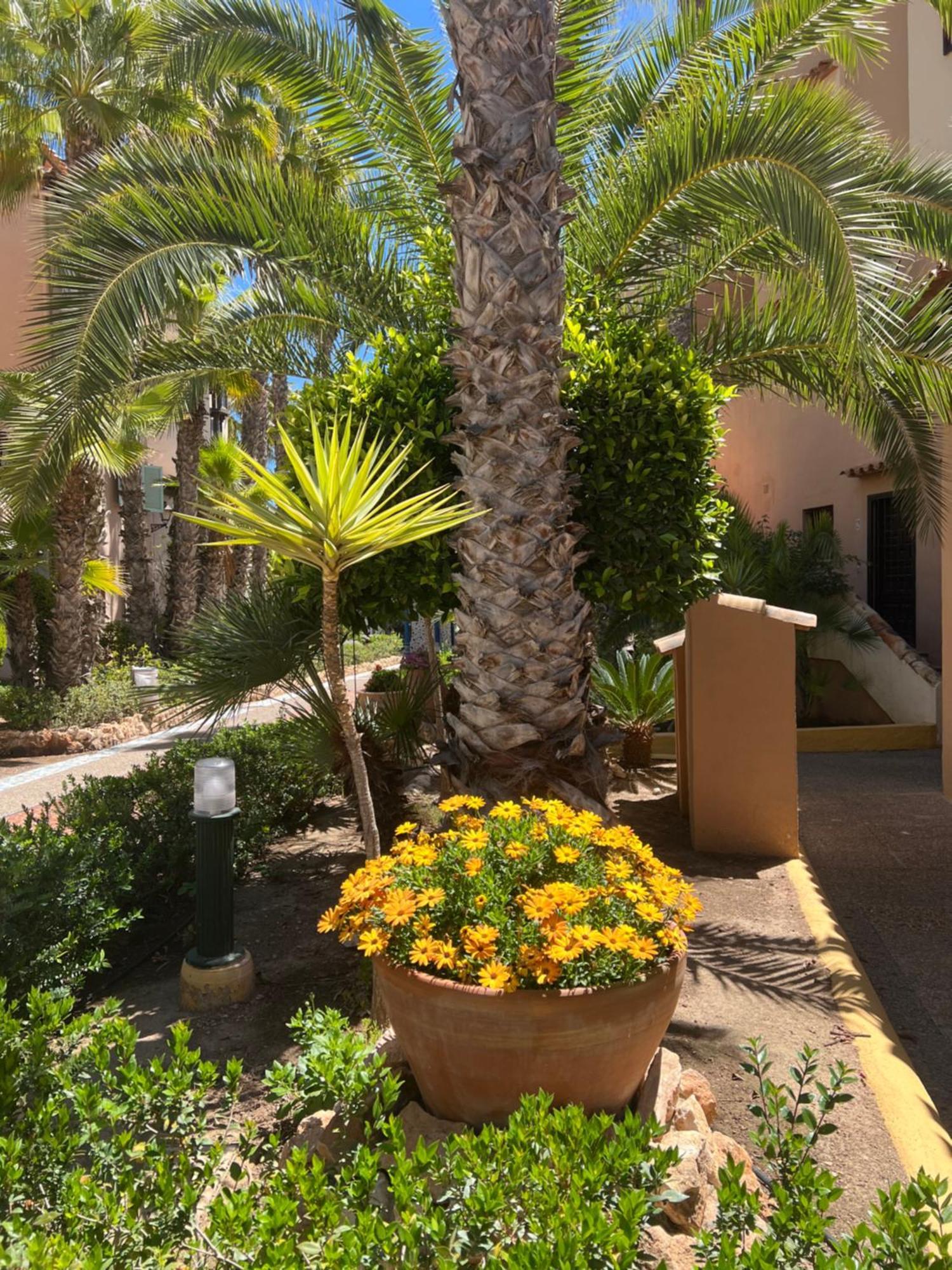 Апартаменты Casa Al Mare Aldea Торевьиа Экстерьер фото